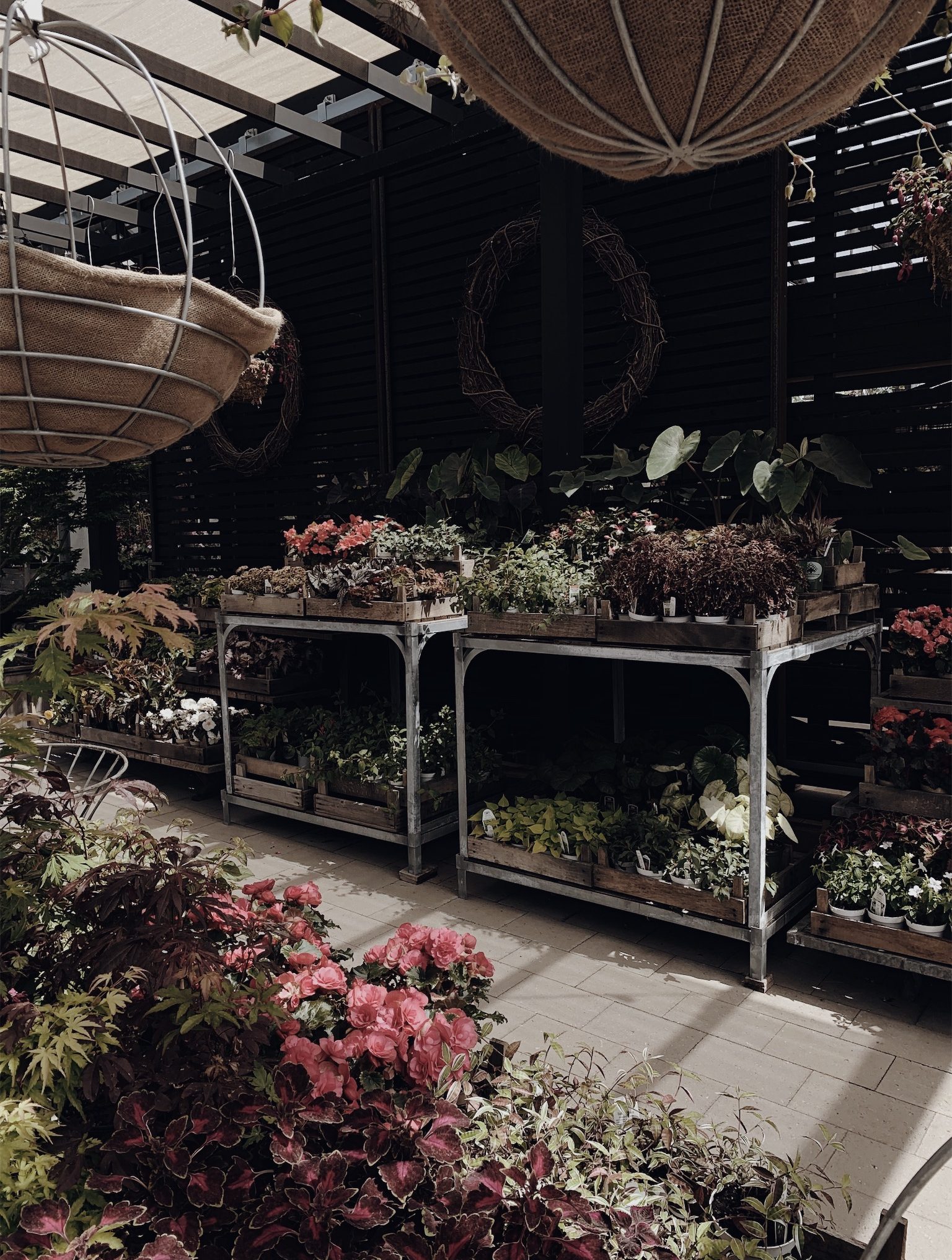 Processed with VSCO with m5 preset